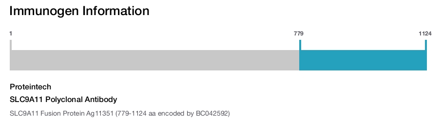 SLC9A11 Polyclonal Antibody