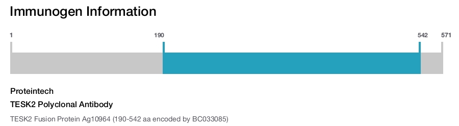 TESK2 Polyclonal Antibody