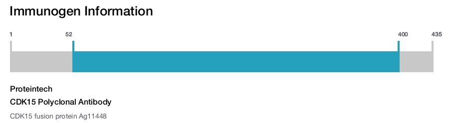 CDK15 Polyclonal Antibody