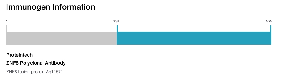 ZNF8 Polyclonal Antibody