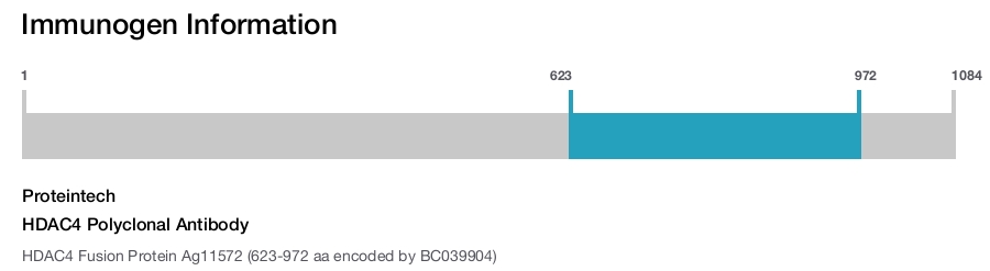 HDAC4 Polyclonal Antibody