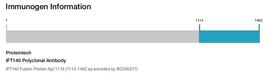 IFT140 Polyclonal Antibody