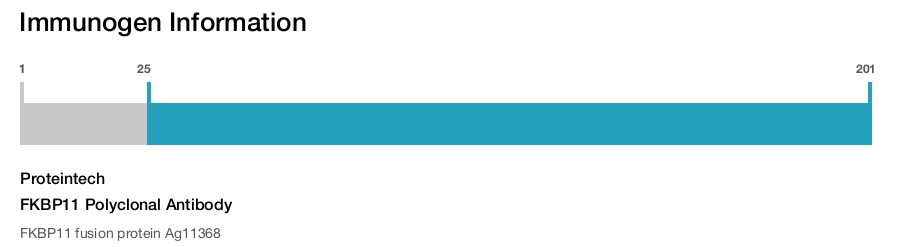 FKBP11 Polyclonal Antibody