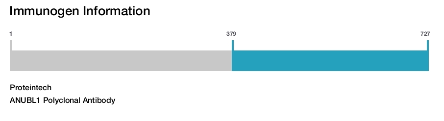 ANUBL1 Polyclonal Antibody