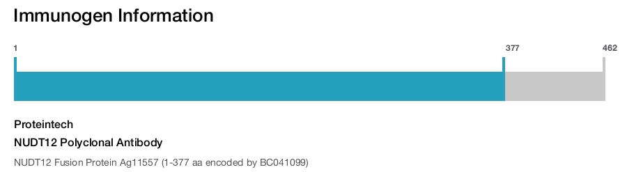 NUDT12 Polyclonal Antibody