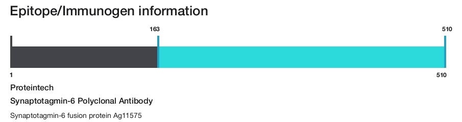 Synaptotagmin-6 Polyclonal Antibody