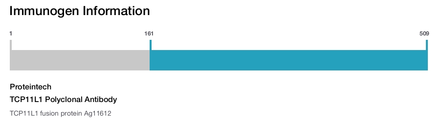 TCP11L1 Polyclonal Antibody