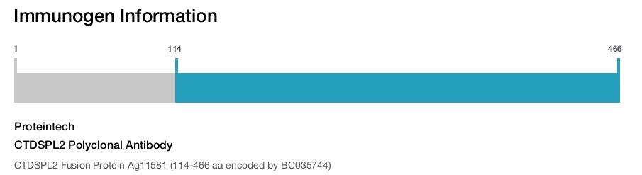 CTDSPL2 Polyclonal Antibody