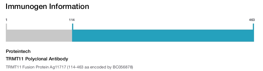 TRMT11 Polyclonal Antibody
