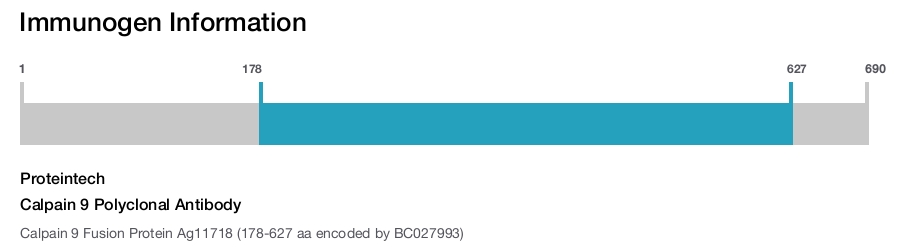 Calpain 9 Polyclonal Antibody