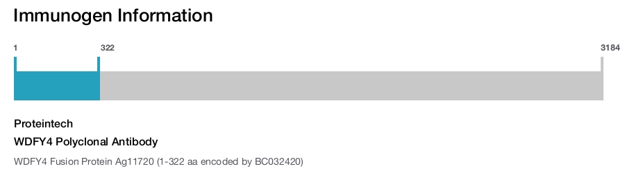 WDFY4 Polyclonal Antibody