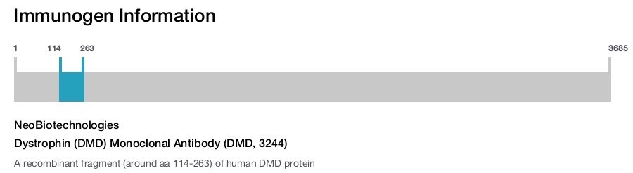 Dystrophin (DMD) Monoclonal Antibody (DMD, 3244)