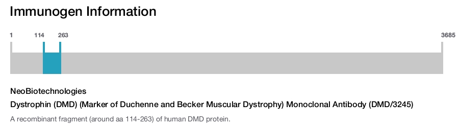 Dystrophin (DMD) (Marker of Duchenne and Becker Muscular Dystrophy) Monoclonal Antibody (DMD/3245)