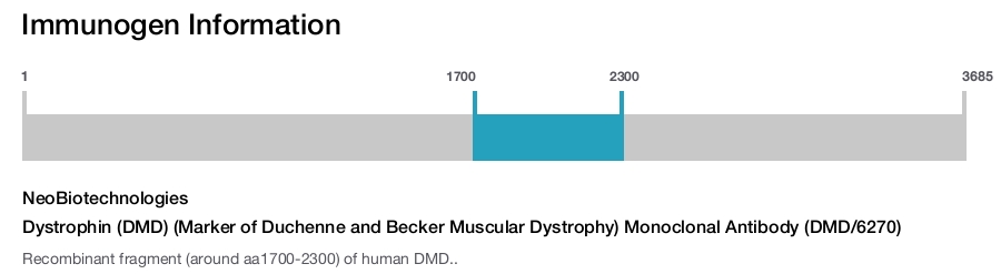 Dystrophin (DMD) (Marker of Duchenne and Becker Muscular Dystrophy) Monoclonal Antibody (DMD/6270)