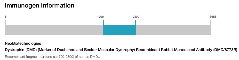 Dystrophin (DMD) (Marker of Duchenne and Becker Muscular Dystrophy) Recombinant Rabbit Monoclonal Antibody (DMD/8773R)
