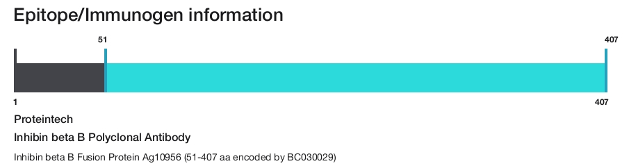 Inhibin beta B Polyclonal Antibody