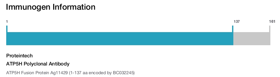 ATP5H Polyclonal Antibody