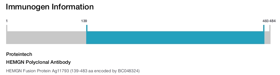 HEMGN Polyclonal Antibody