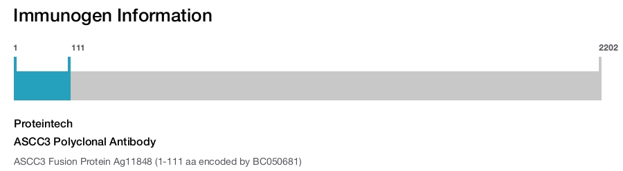 ASCC3 Polyclonal Antibody