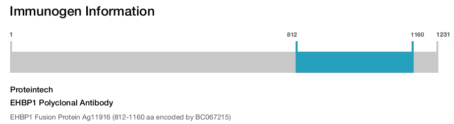 EHBP1 Polyclonal Antibody