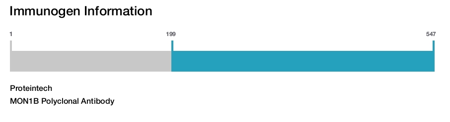MON1B Polyclonal Antibody