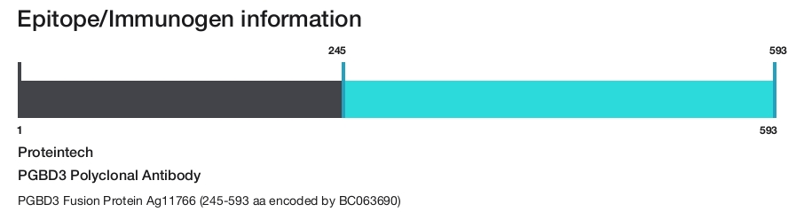 PGBD3 Polyclonal Antibody