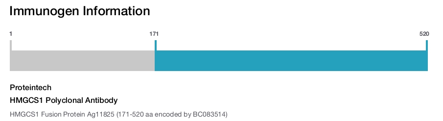 HMGCS1 Polyclonal Antibody