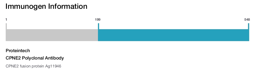 CPNE2 Polyclonal Antibody