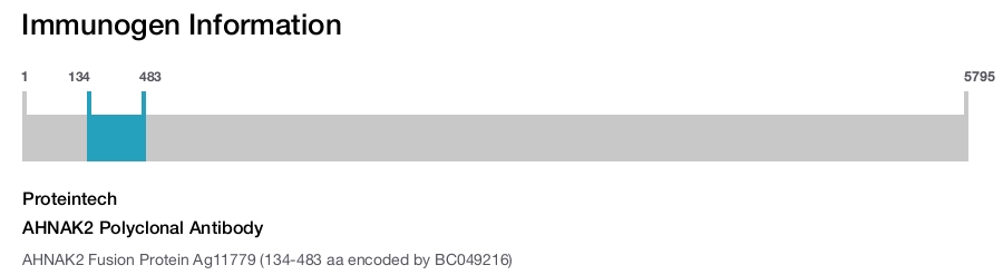 AHNAK2 Polyclonal Antibody