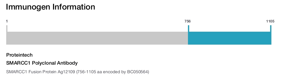 SMARCC1 Polyclonal Antibody