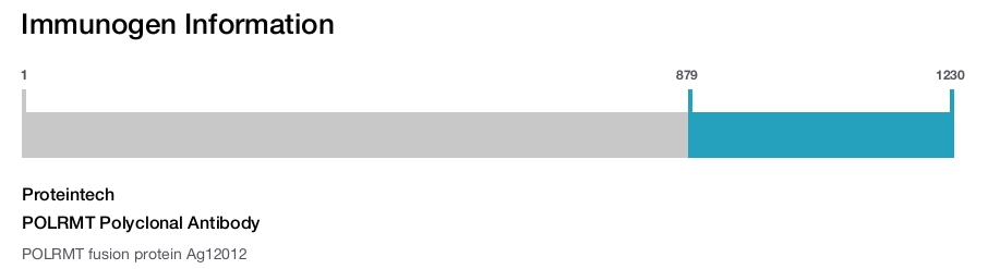 POLRMT Polyclonal Antibody