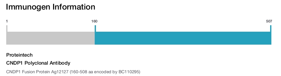 CNDP1 Polyclonal Antibody