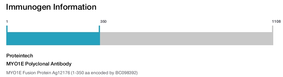 MYO1E Polyclonal Antibody