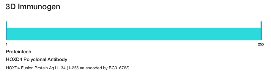 HOXD4 Polyclonal Antibody