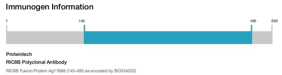 RIC8B Polyclonal Antibody
