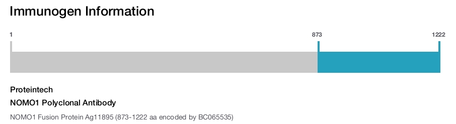 NOMO1 Polyclonal Antibody