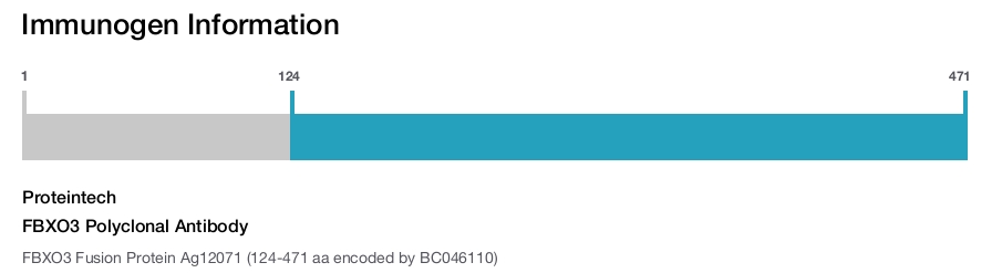 FBXO3 Polyclonal Antibody