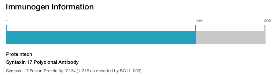 Syntaxin 17 Polyclonal Antibody