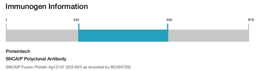 SNCAIP Polyclonal Antibody