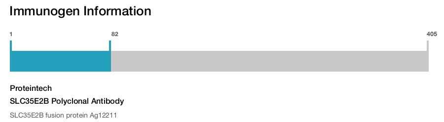 SLC35E2B Polyclonal Antibody