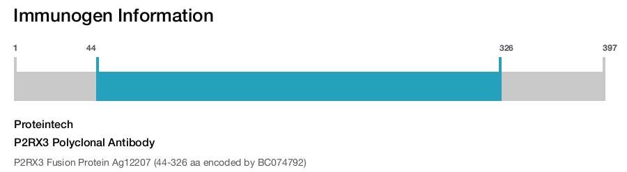 P2RX3 Polyclonal Antibody
