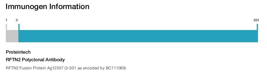 RFTN2 Polyclonal Antibody