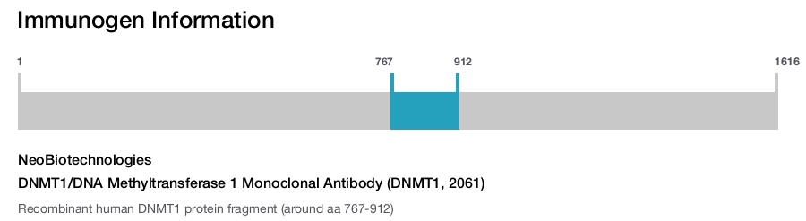 DNMT1/DNA Methyltransferase 1 Monoclonal Antibody (DNMT1, 2061)