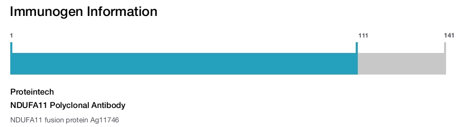 NDUFA11 Polyclonal Antibody