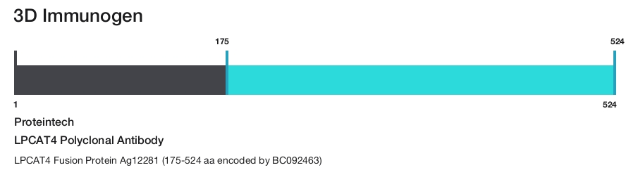 LPCAT4 Polyclonal Antibody