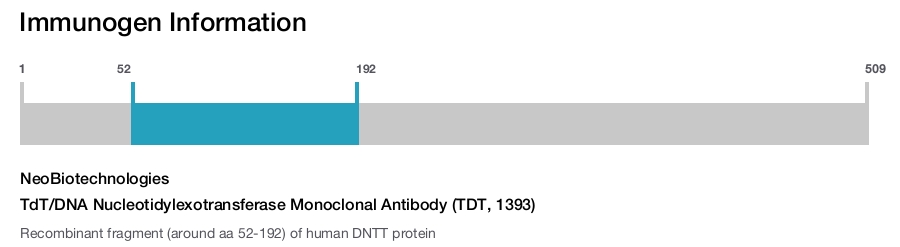 TdT/DNA Nucleotidylexotransferase Monoclonal Antibody (TDT, 1393)