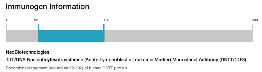 TdT/DNA Nucleotidylexotransferase (Acute Lymphoblastic Leukemia Marker) Monoclonal Antibody (DNTT/1453)