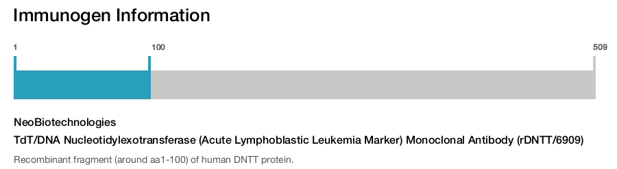 TdT/DNA Nucleotidylexotransferase (Acute Lymphoblastic Leukemia Marker) Monoclonal Antibody (rDNTT/6909)