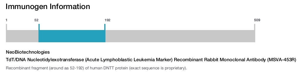 TdT/DNA Nucleotidylexotransferase (Acute Lymphoblastic Leukemia Marker) Recombinant Rabbit Monoclonal Antibody (MSVA-453R)