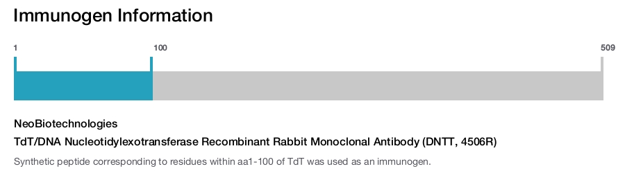 TdT/DNA Nucleotidylexotransferase Recombinant Rabbit Monoclonal Antibody (DNTT, 4506R)